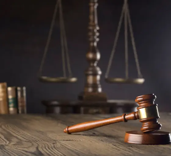 Küçükyalı Göç Danışmanlığı